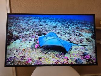 55" LG 4K UHD LED.... TV..... 🖥️  ❇️ 🛜