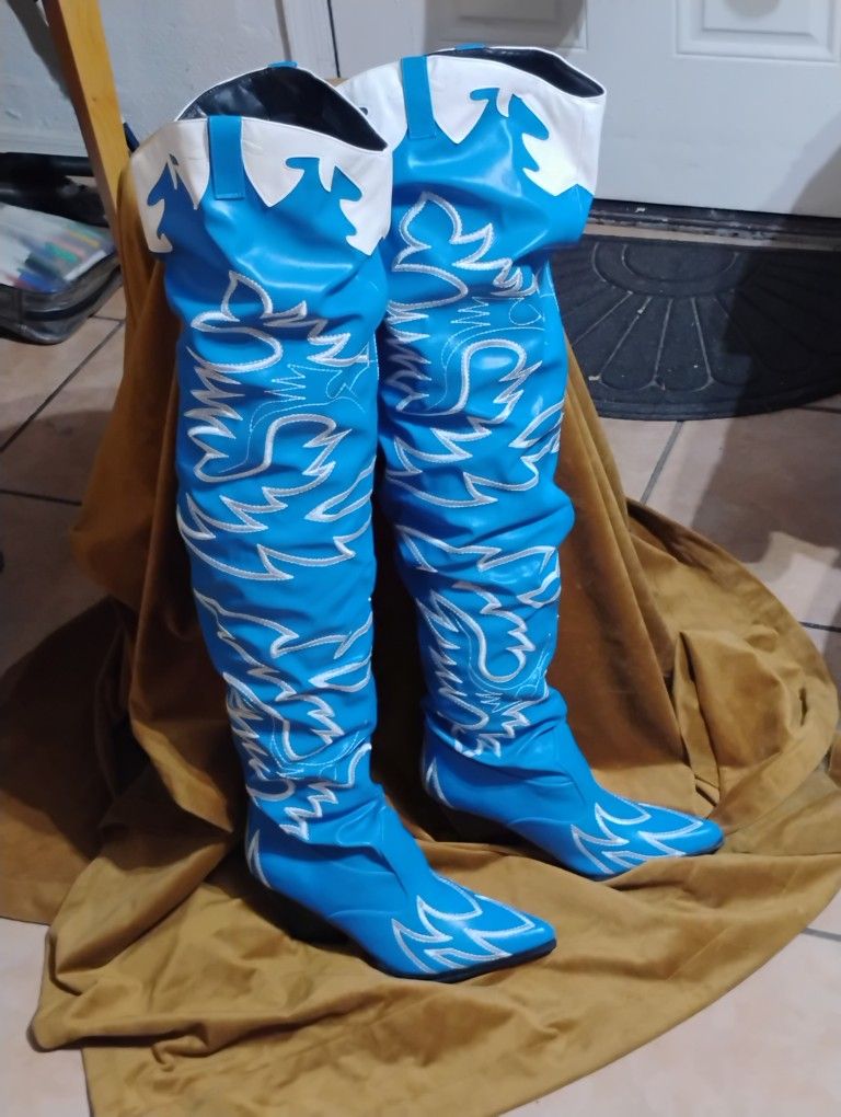 Women's Thigh High Boots $30