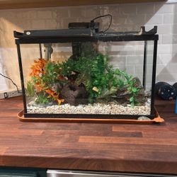 10 Gallon Tank With Decor 