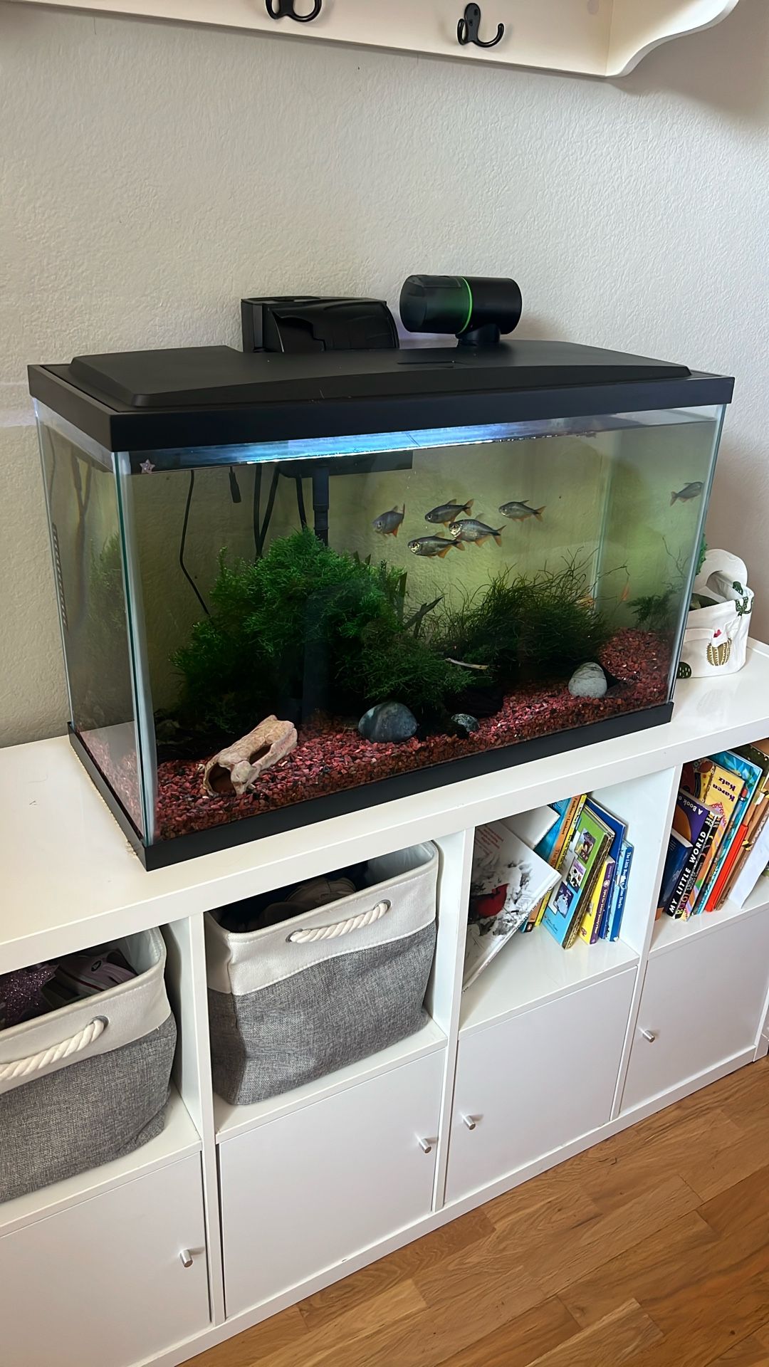 Fish tank