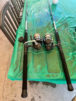 The PENN Pursuit IV Spinning Reel 6000 🎣🐟