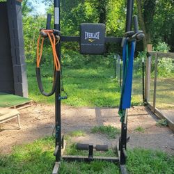 Everlast pull up dip station sale