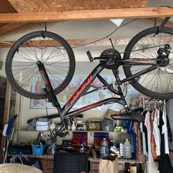 Like New Boys. Bike