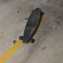 Used Z Flex Longboard
