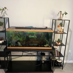 Aquarium Stand