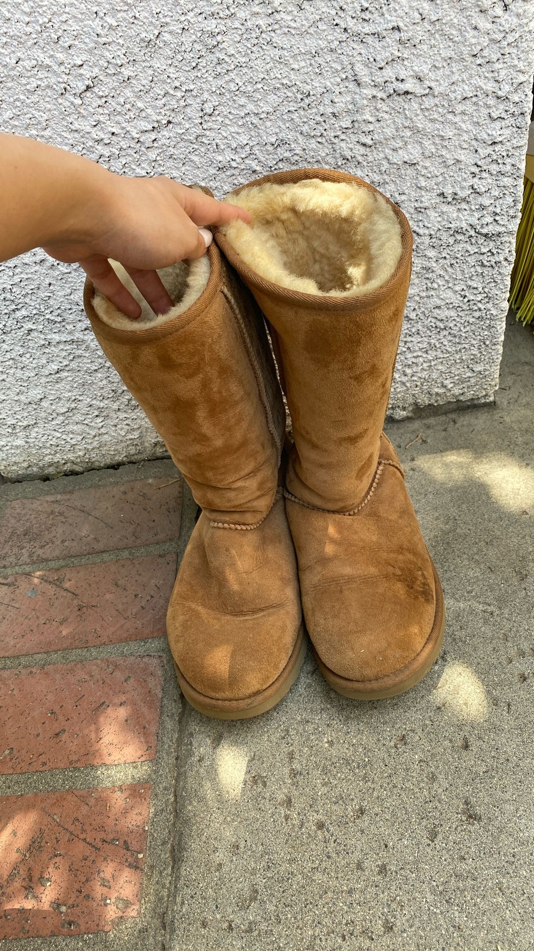 Tall Ugg Size 8