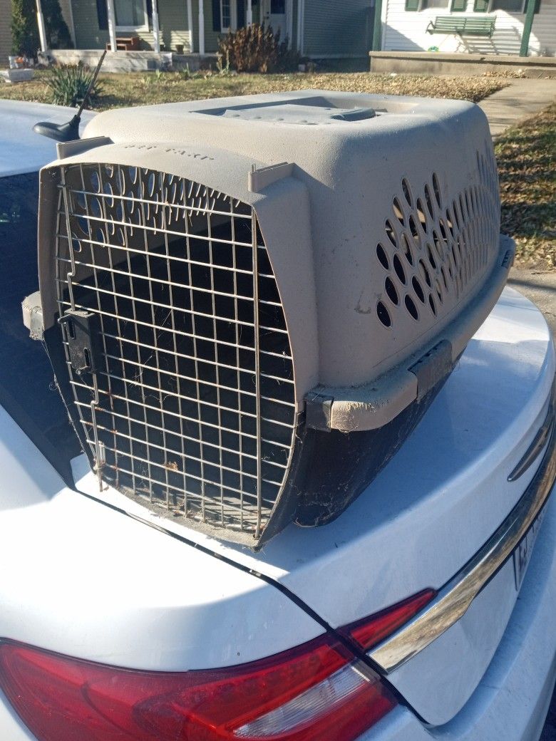 Medium Pet Carrier 