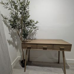 Console Table And Olive Tree 
