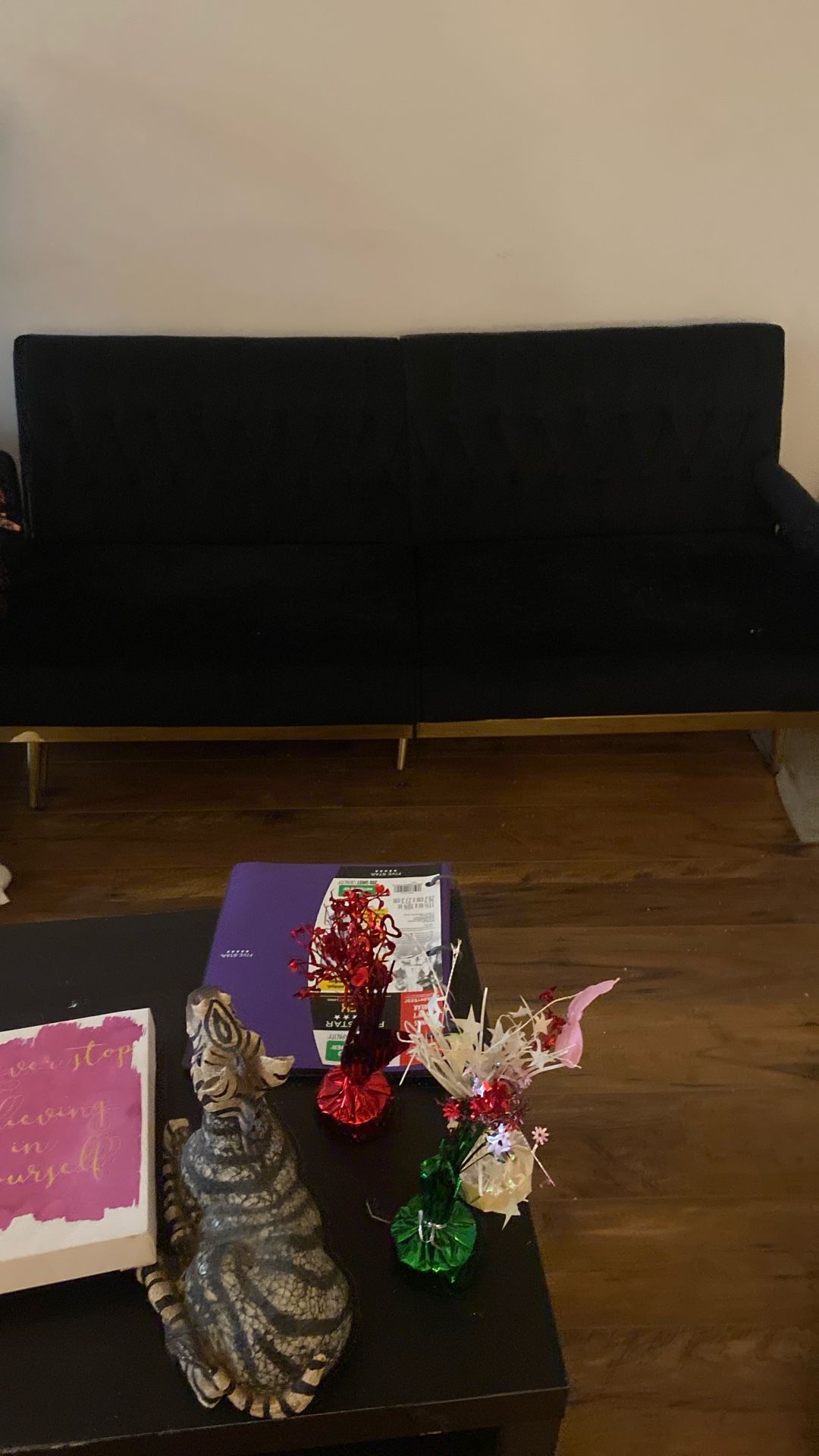 Futon Couch