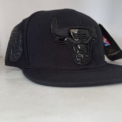 Chicago Bulls Snapback Hat 🧢