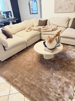 CB2 Anders Dusty Rose-Brownish Area Rug 8x10 Very Beautiful $500