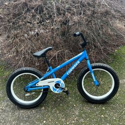 18” Bike (Coewske)