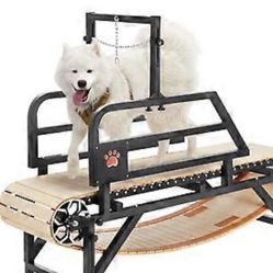 Dog Treadmill 