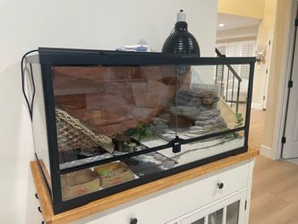 Reptile/Animal Terrarium
