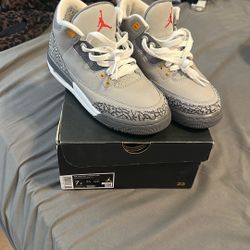 Air Jordan 3 cool grey
