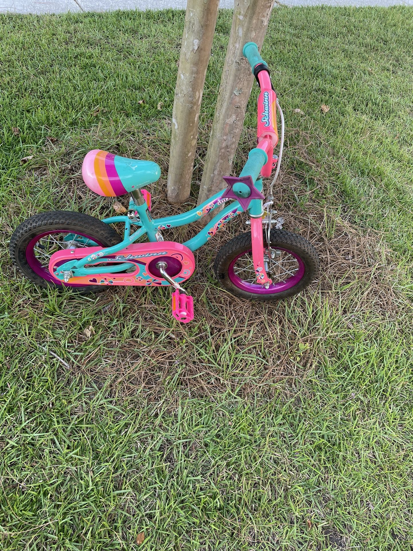 Schwinn 12" bike
