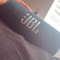 JBL Flip 6 And JBL Partybox 310