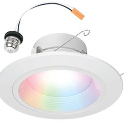 Smart Wi-Fi WiZ Pro Retrofit de techo