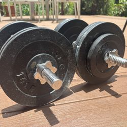 45 Pound Dumbbell Weights Gym
