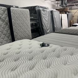 Need These Mattresses Gone. First Come First Serve 