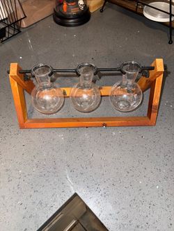 Plant terrarium