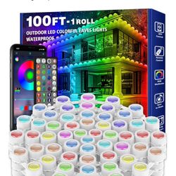 Permanent Outdoor RGB Lights 100ft