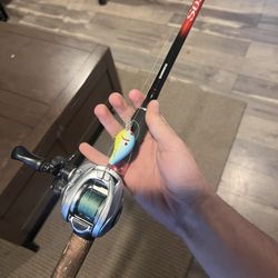 Custom Bait caster 