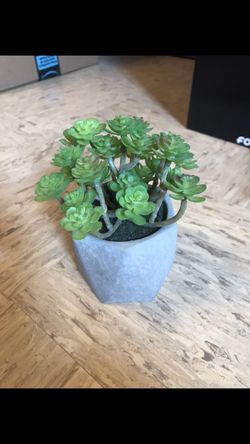 Fake little plant