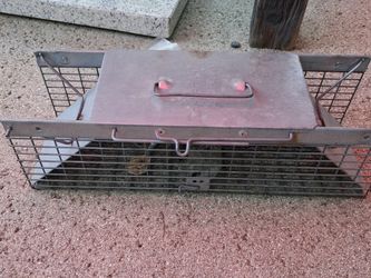 Live Animal Trap