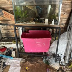 20-gal Tank with everything included