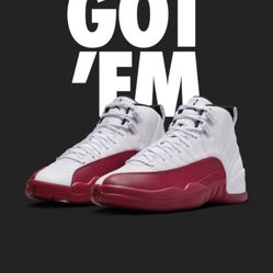 Cherry Jordan Retro 12