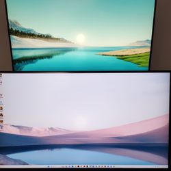 Dual Monitor with Vertical Stand