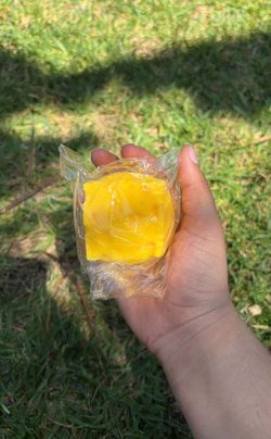Squishy CHEESES
