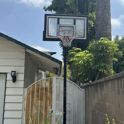 Basketball 🏀 Hoop