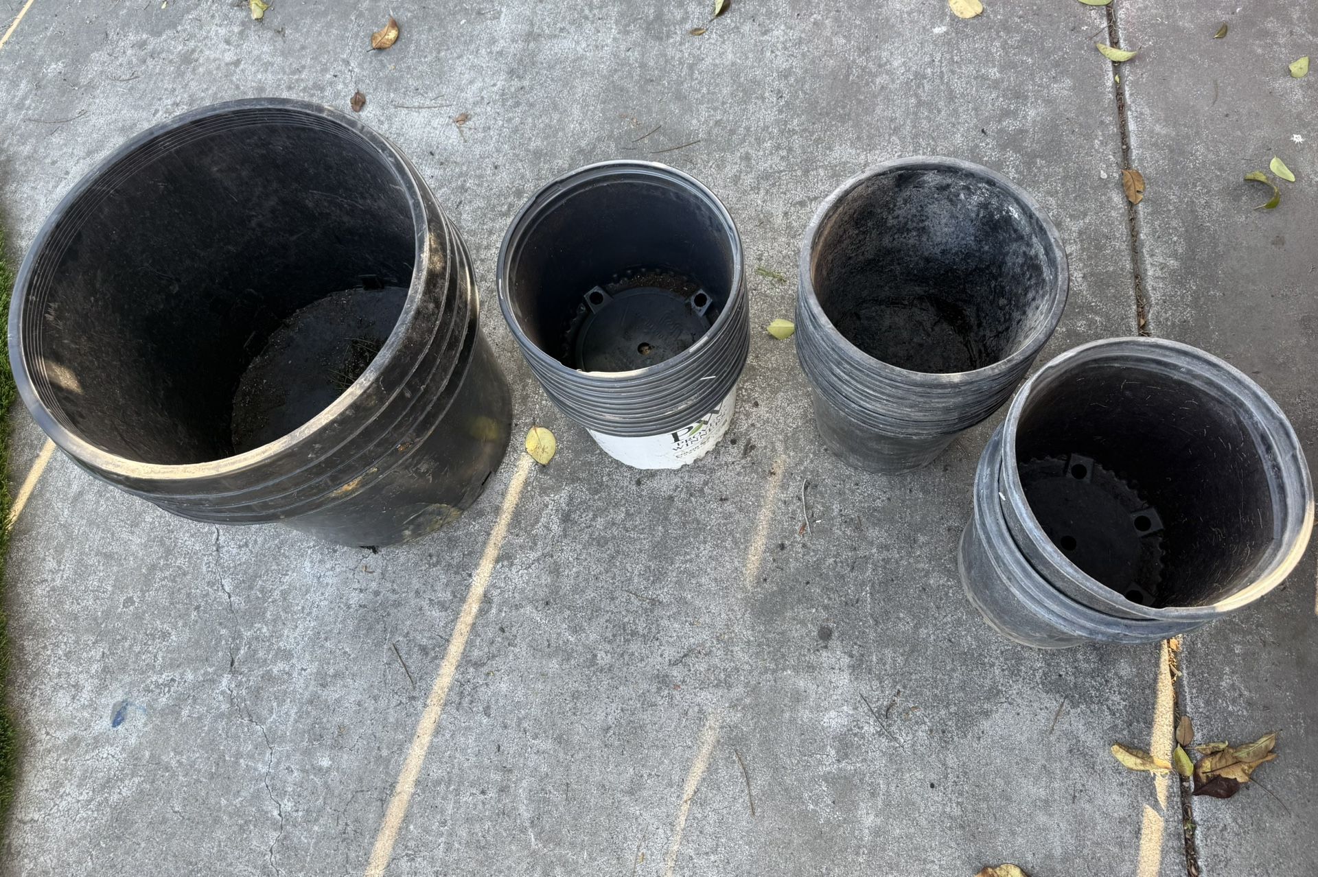 Plants Pots 🪴…