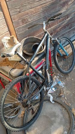 Mountain bike