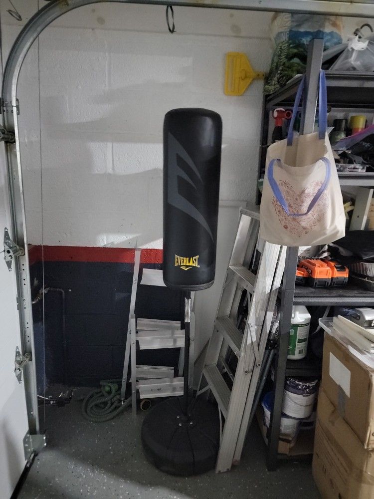 Everlast Punching Bag