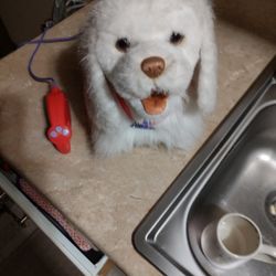 Hasbro FRF Fur Real Friends Go Go Walking Puppy Dog.