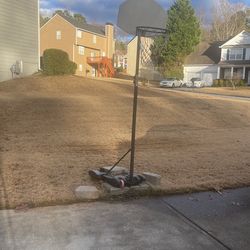 Basketball Hoop