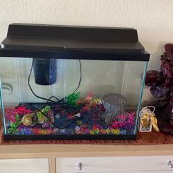 50 Gallon Fish Tank