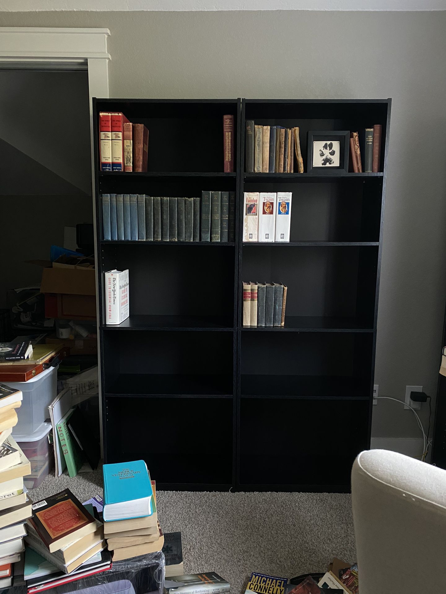 2 Black Bookshelves