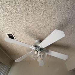 Ceiling Fan With Light  48”