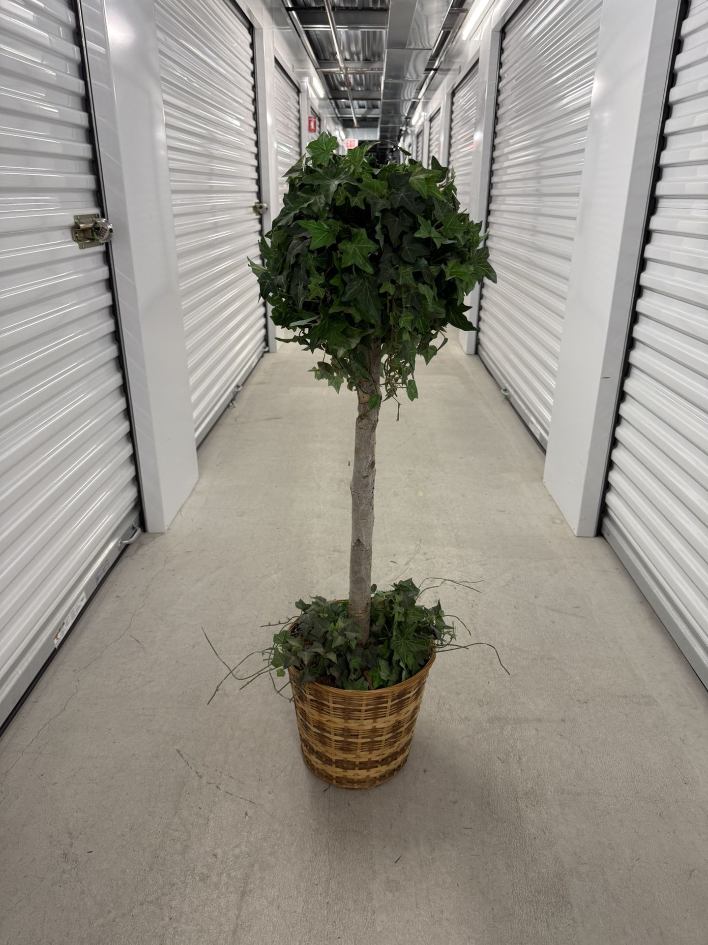 Artificial Topiary/Woven Basket (4 Ft Tall)