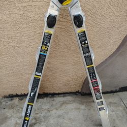 18ft Gorilla Ladder | Escalera