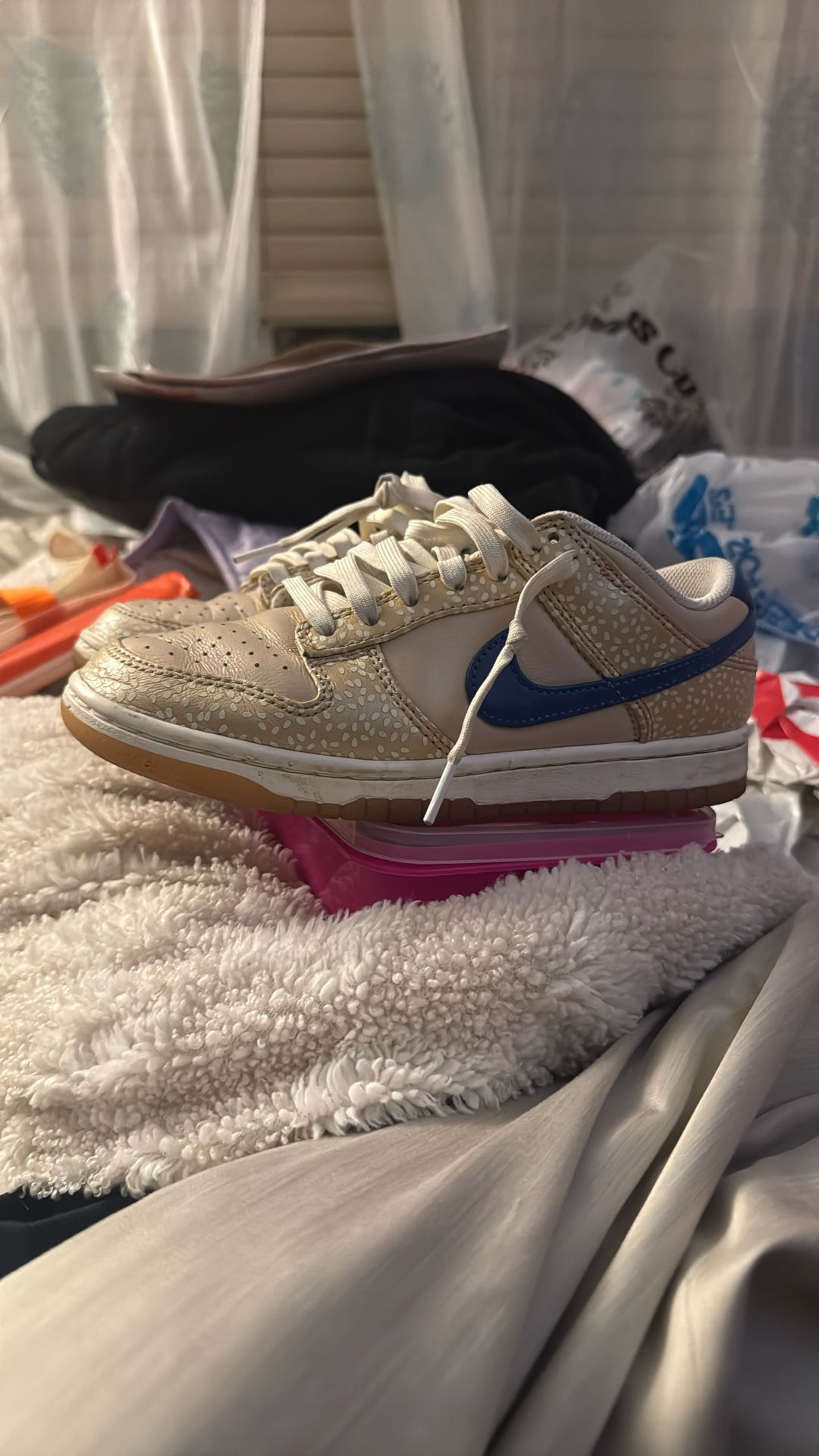 Sesame Sail, Nike Dunk Low