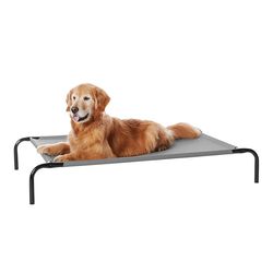 Outdoor dog beds