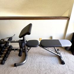 Workout Bench - Multi-Use 