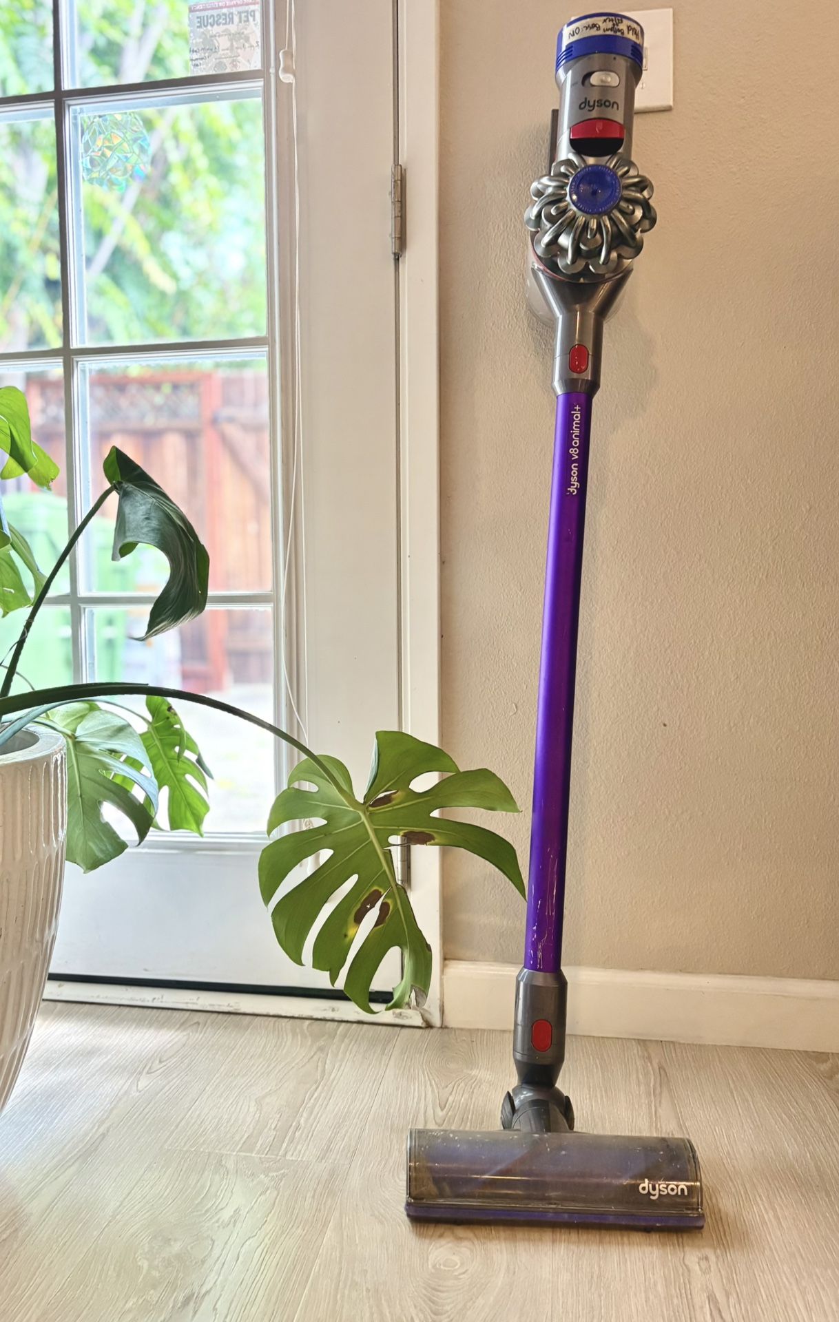 Dyson V8 Animal+ cordless vacuum