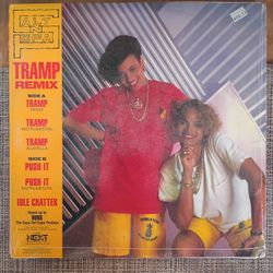 Salt N Pepa Original US Pressing 1987 Tramp/Push It Vinyl 