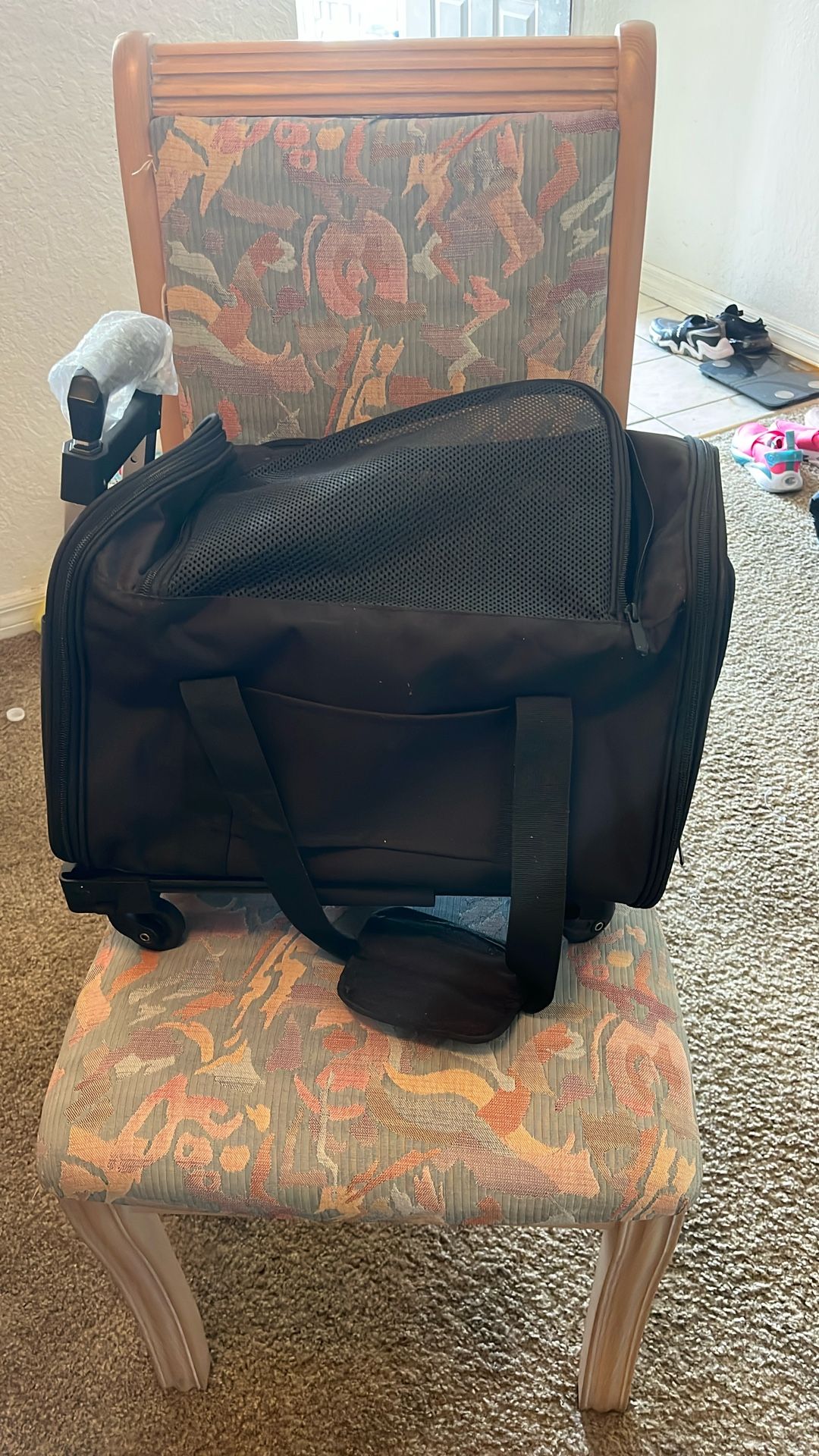 Dog traveling case